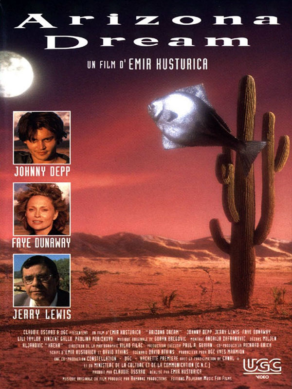 Locandina Arizona dream