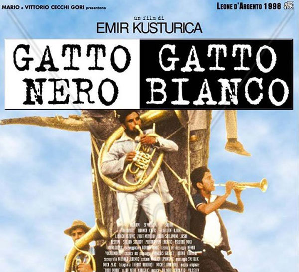 gatto-Nero-gatto-bianco